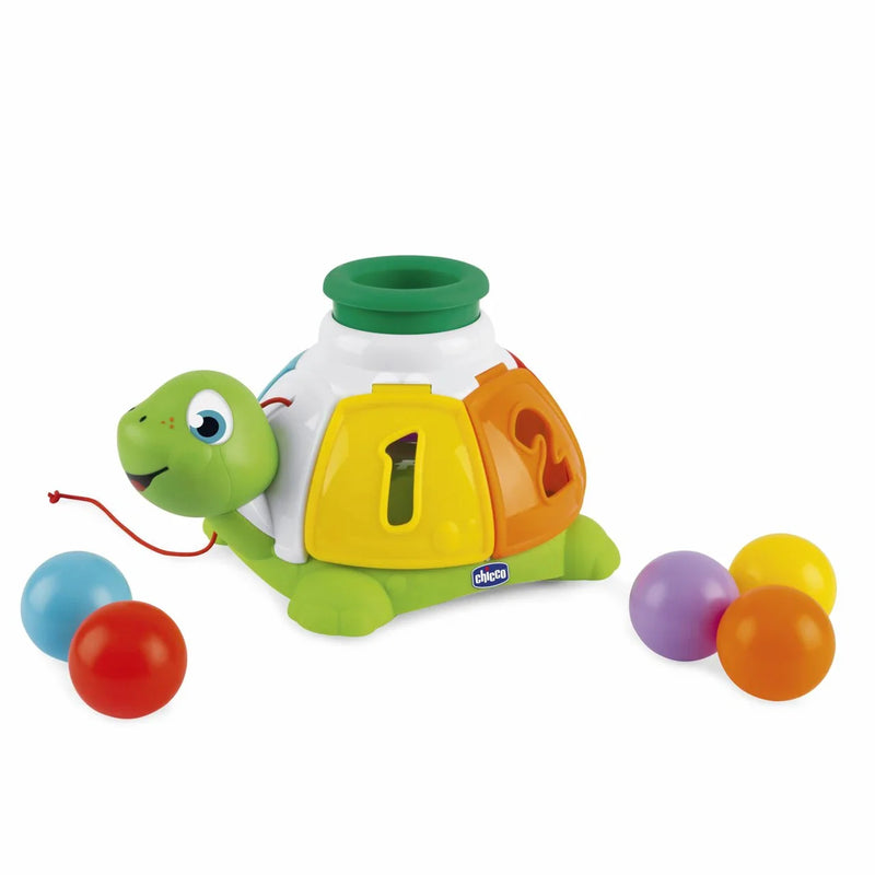 Turtle Sort&Surprise
