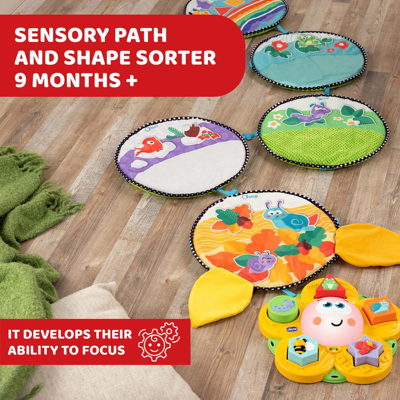 4-Season Path