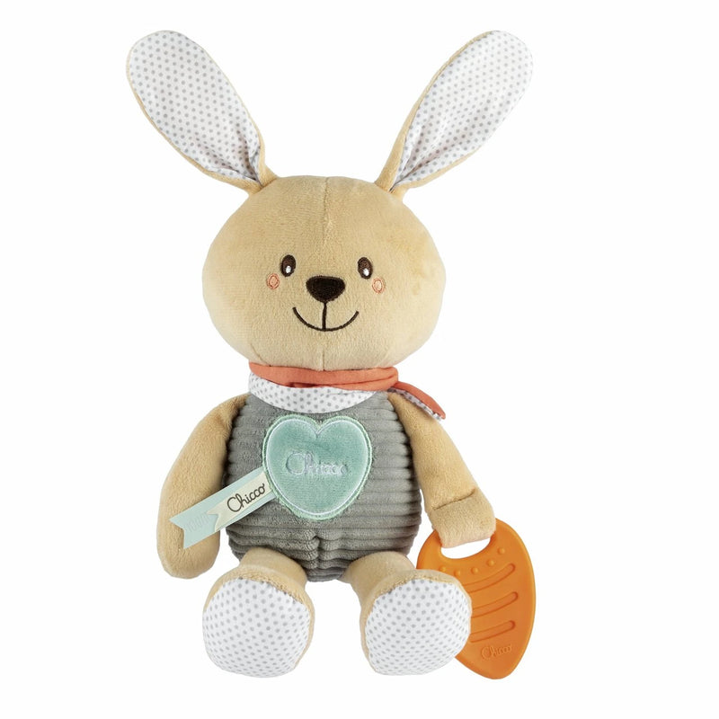 Cuddly Bunny