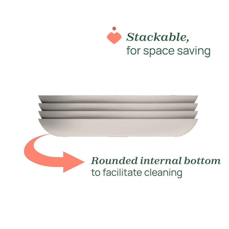 Portioned Plate 12m+ - Design A