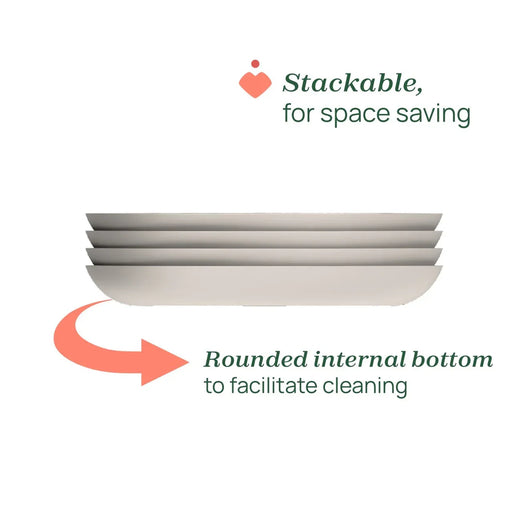 Portioned Plate 12m+ - Design B