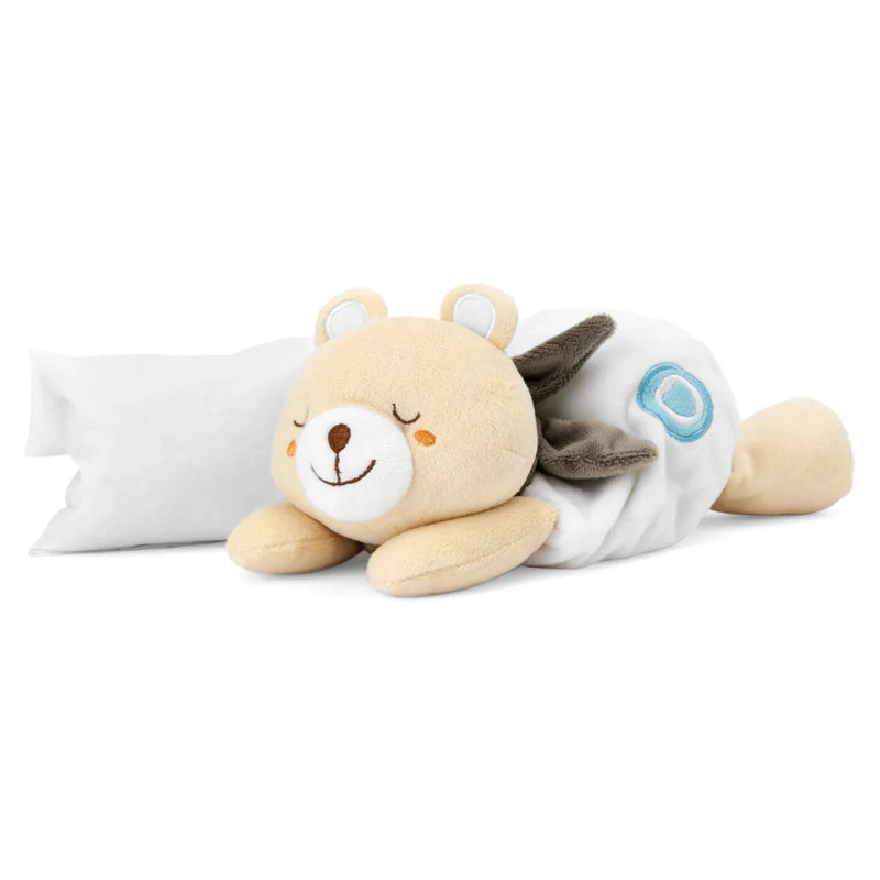 Warm Cuddle Teddy Bear